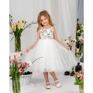 Сукня Zironka 3822500801