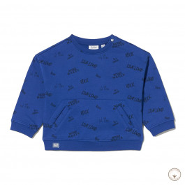 Джемпер утеплений BluKids Better Cotton Live Loud, р. 80