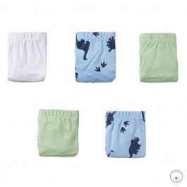 Набір трусів BluKids Bio Cotton Dino 5 шт, р. 104