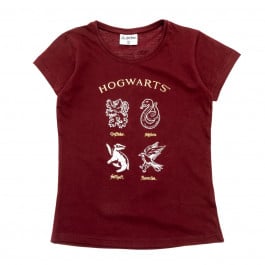 Футболка E Plus M НР 52 02 119 Harry Potter Burgundy, р. 164